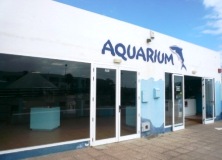 Lanzarote Aquarium