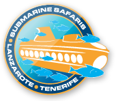 Submarine Safaris